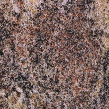 Paradiso Granite